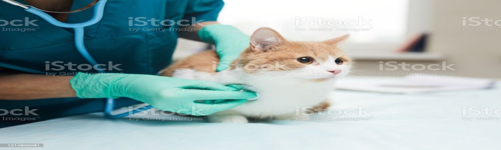 Breadcrumbs Image